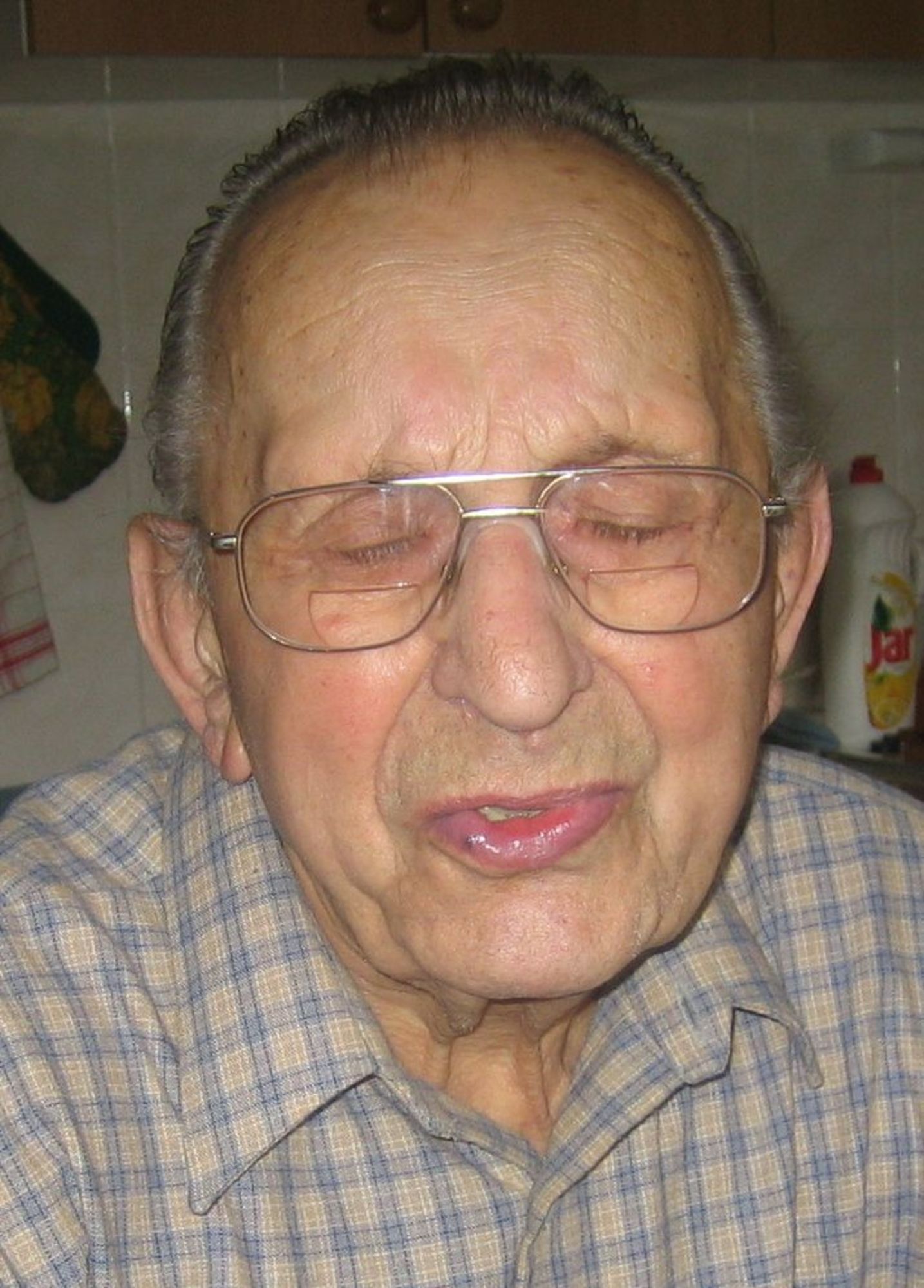 Josef  Koudela