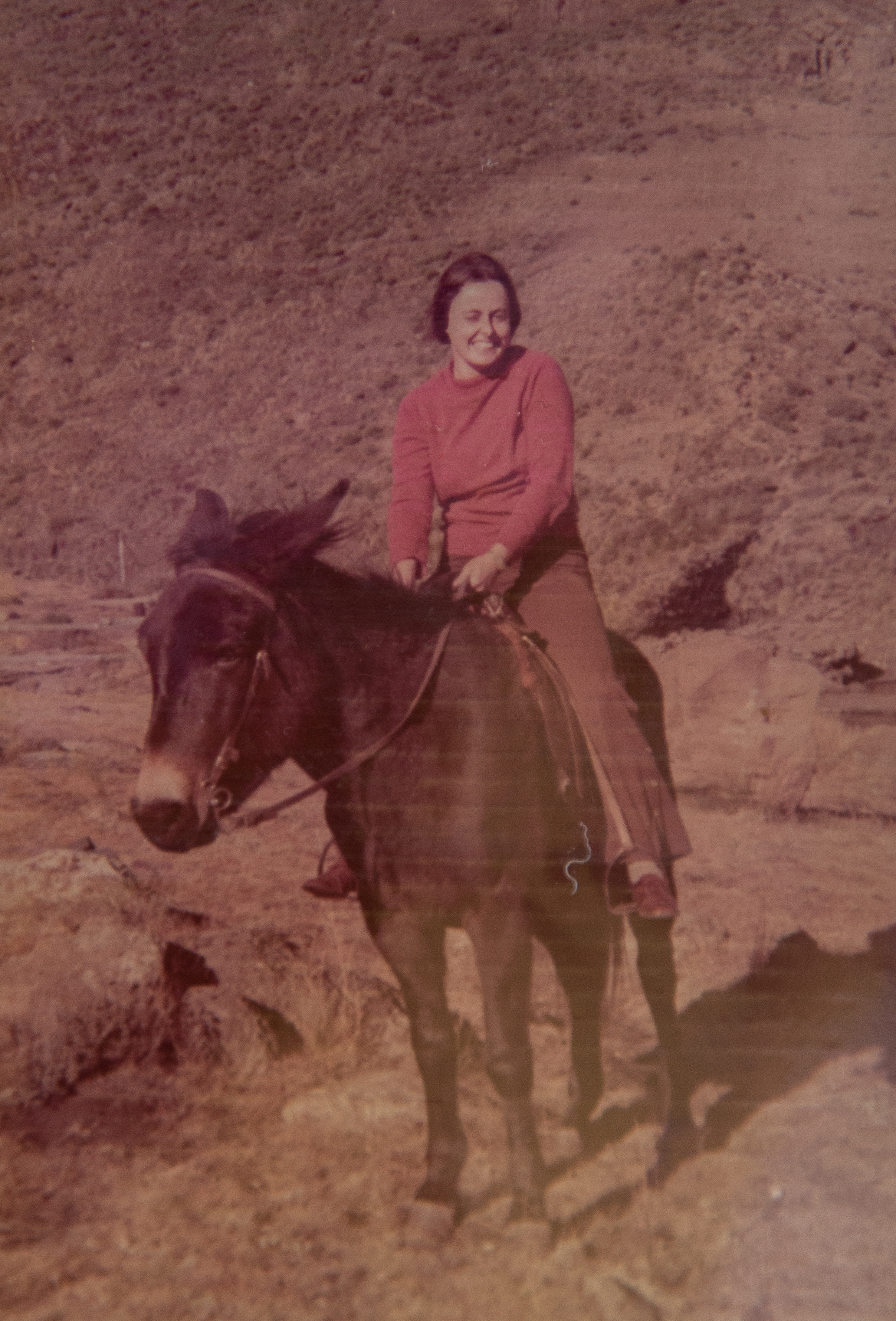 Milena Pechoušová on horseback, 1970s