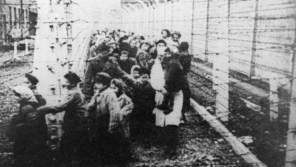 Dvojčata Jiří a Josef Fischerovi (druhý a třetí zpředu) na fotografii, kterou pořídili Sověti při osvobození koncentračního tábora Auschwitz. Zdroj: Paměť národa