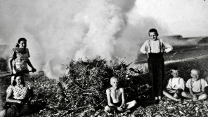 Pálení bramborové natě v Bolaticích, 1930. Zdroj: archiv pamětnice
