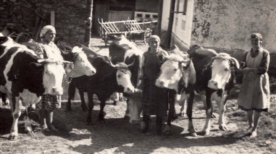 Kontrola z Ministerstva státní kontroly u Lamplotových, zleva sestra Antonína Lamplota Marie (*1933), sousedka Libuše Homolková, maminka Otýlie Lamplotová, 1953 (Archiv Antonína Lamplota) – z karty pamětníka Antonína Lamplota
