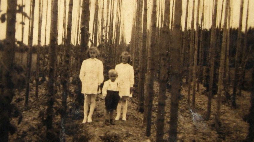 Sourozenci Calábkovi v chmelnici (Zdeňka, Vladimír, Ludmila), asi rok 1950. Zdroj: archiv pamětníka