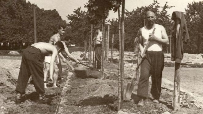 Antonín Mikan během stavby sportovního stadionu v Chrasti. Zdroj: archiv pamětníka
