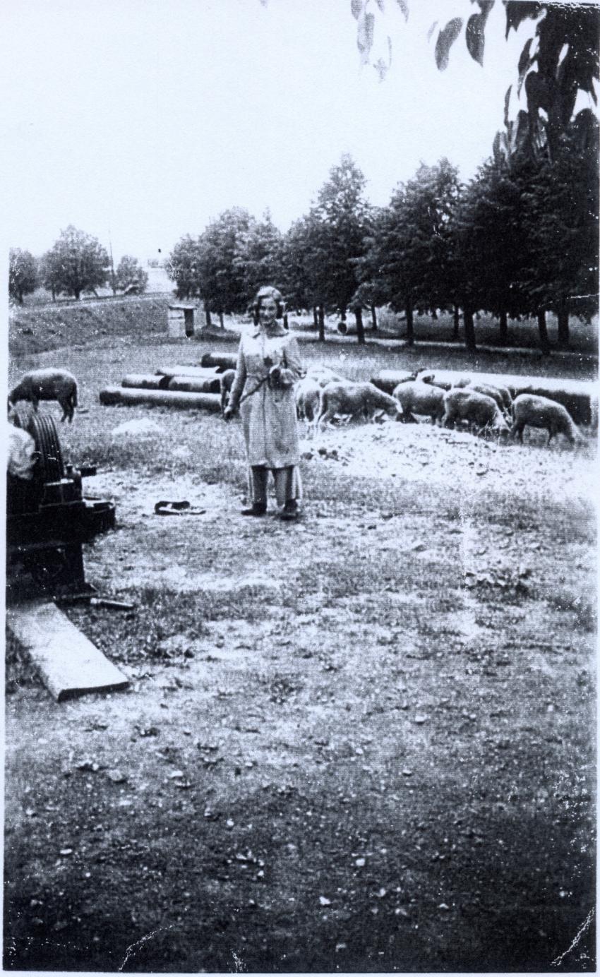 Dívka s ovečkami, jak Doris zachytil Josef Toman v roce 1942.