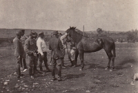 Losování koní v 3. dělostřeleckém divisiónu na stanici Jenisej, červenec 1919. Zdroj: archiv pamětnice