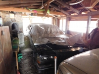 Limuzína, v níž jezdil ve filmu Barva peněz Tom Cruise a Paul Newman a vlastní ji Stanislav Stojaspal