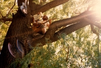 Jiří Neduha vystupující na festivalu Vratislava Brabence v 80. letech, Toronto 