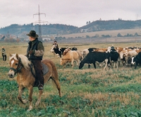 Skoro jako na Divokém západě - vepředu na koni Jiří, vzadu Pavel (rok 2000)