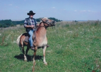 Gustav on a horse