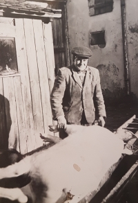 Děda Tomáš, velký vzor pamětnice, na svém hospodářství ve Mříčí (Křemže), konec 70. let