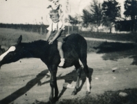 Pavel Dobrovolný, cca rok 1940