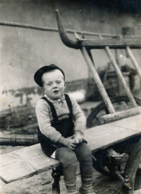 Malý Václav Štěpán sedící na žebřiňáku