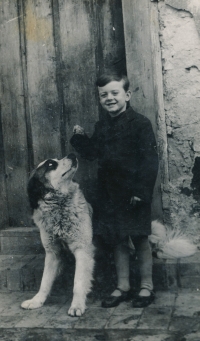 Václav Štěpán as a small child with a St Bernard dog