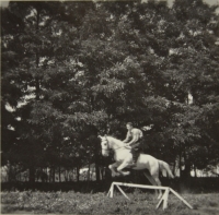 Prázdniny 1953 - brigáda jako ošetřovatel ve stanici chovu koní v Nové Vsi (Výzkumný ústav pro travopolní soustavu v Pohořelicích)
