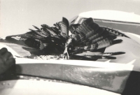 To je foto k té příhodě o srážce tátovy IL-14 s orlem. Měla jsem krásná pera do indiánské čelenky.