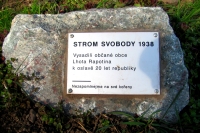 Lípa hned u Lhoty Rapotiny, pamětní deska u stromu svobody, v roce 1938 byl pamětník přítomen jejímu vysazování 