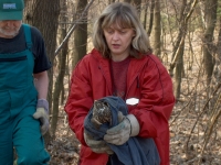 Eva Vorlíčková se zraněnou jestřábicí / 2006