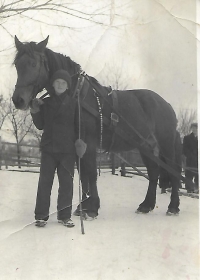 Josef Bock, bratr pamětnice, v roce 1951 během školních lyžařských závodů. Vozil učitele na saních tažených koňmi.