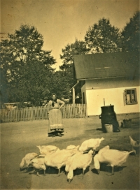 Babička Anna Pecková (1877-1942), rodinný statek; Straky čp. 10; mezi léty 1939-1942