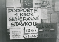 General support of the general strike, Litomyšl, November 1989