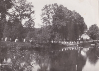 Do skláren v Tasicích kolem Tasického rybníku 