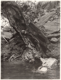 Land art - Miloš Kim Houdek, Jánský Spring near Čáslav, 1979 