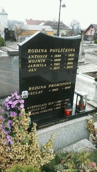 Hrob rodiny Pavlíčkovy na hřbitově v Palkovicích