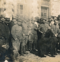 Václav Půlpán, první světová válka, (tmavý, nad medvědem)