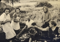 Harvest of cucumbers and cherries on the Chloumek farm; Jarmila is the second one from the left