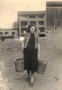 Her mother totally engaged in agriculture, Hleďsebe 1942
