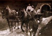 Manžel Marie Veselé s vlastními koňmi, na které byl velmi pyšný