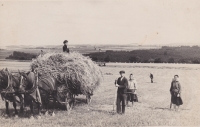 Hay harvest at Radňov