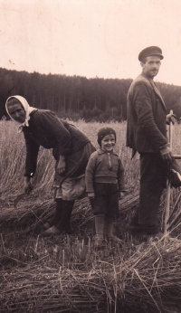 Friedrich s rodiči na poli, 1940