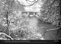 Fotografie Zdeňka Zůny