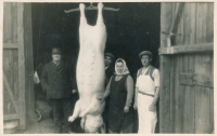 Zabijačka na dvoře Kiršnerových ve 40. letech 20. století, vpravo Václav Kiršner