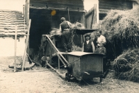 Mlácení obilí na dvoře u Kiršnerů, 40. léta 20. století, uprostřed děd Ludvík Beránek, vpravo pan Fiala (zaměstnanec)