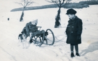 Václav Kiršner pulls her sister Milada on a sled (1946)
