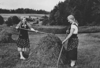 Maminka Marie (vpravo) při senoseči na louce u mlýna v Sázavě, 1937