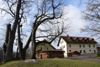 Farm of the Zářecký family no. 137 with a statue of St. John at the forefront in 2020