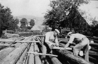 A grandfather Bedřich Žák and a father Josef Huml work in the sawmill in 1950