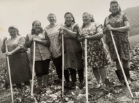 Witness Paulína Dubeňová at work in the field (third from the right)