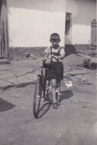 Václav Tuček (*1946)