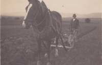 Dědeček Václav Tuček při práci na poli poblíž Bučovic