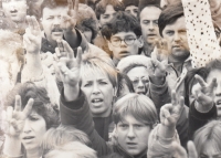 Sametová revoluce v Českých Budějovicích, 1989