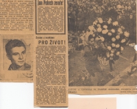 Z nástěnky nad pracovním stolem