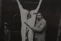 Manžel pamětnice Rostislav Jesenský při zabijačce roku 1985