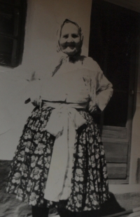 Kateřina Vyskočilová byla matkou Růženy Hanákové, matky pamětnice. Byla válečnou vdovou, její muž padl v Itálii