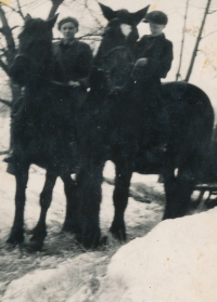 Riding horses in Vysoká Jedla, Ladislav on the left, his brother, Jarda, on the right, 1947 