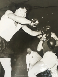 Referee in the boxer’s ring