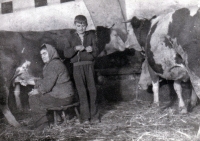 Jan Tichý s matkou ve chlévě / kolem roku 1957
